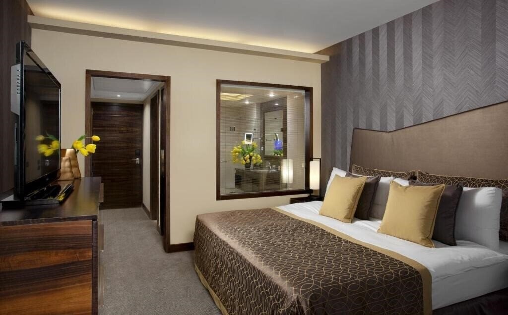 Панорама Dan Carmel 5*