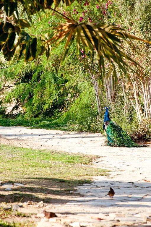 Вид Leonardo Inn Hotel Dead Sea 3*