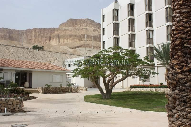 Вид Oasis Prima 4*