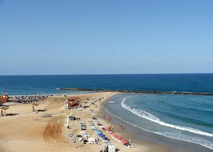 Изображение King Koresh 3*