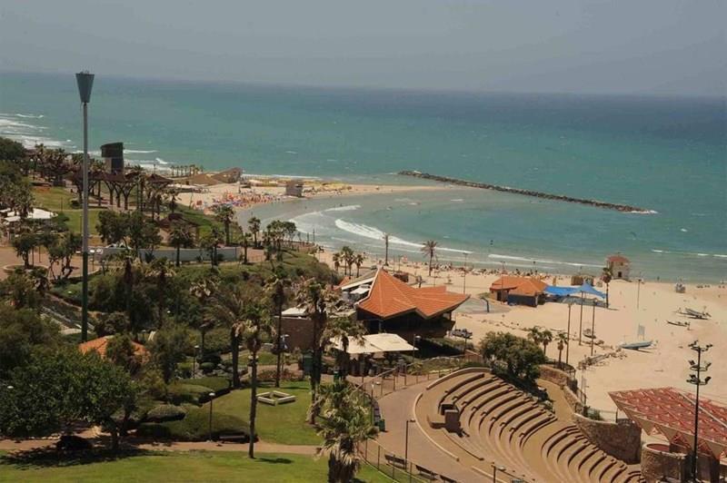 Территория Park Hotel Netanya 3*