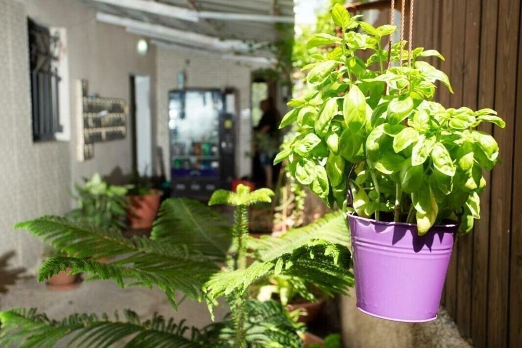 Апартаменты Nahalat Yehuda Residence 3*