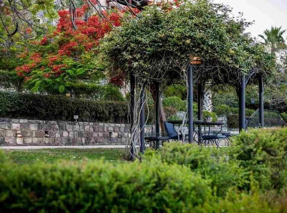 Территория The Scots 5*