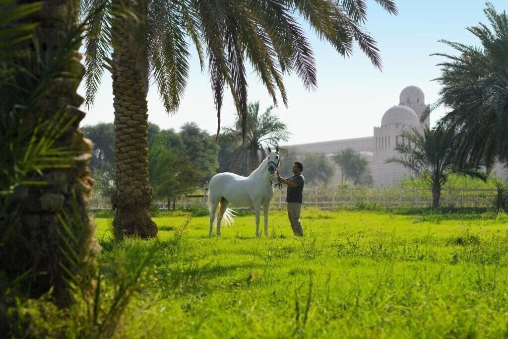 Фотографія Al Samriya Doha Autograph Collection 5*