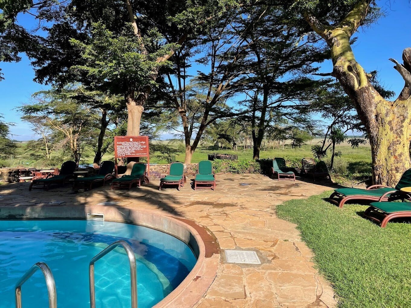 Изображение Amboseli Serena Safari Lodge 4*