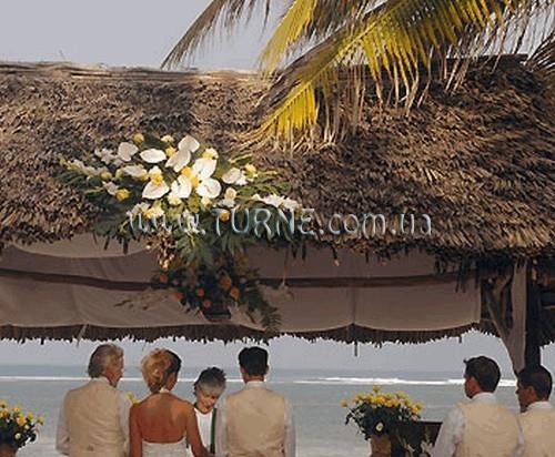 Готель Driftwoodbeach Club 1*