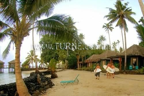 Территория Coconut Beach Club 4*