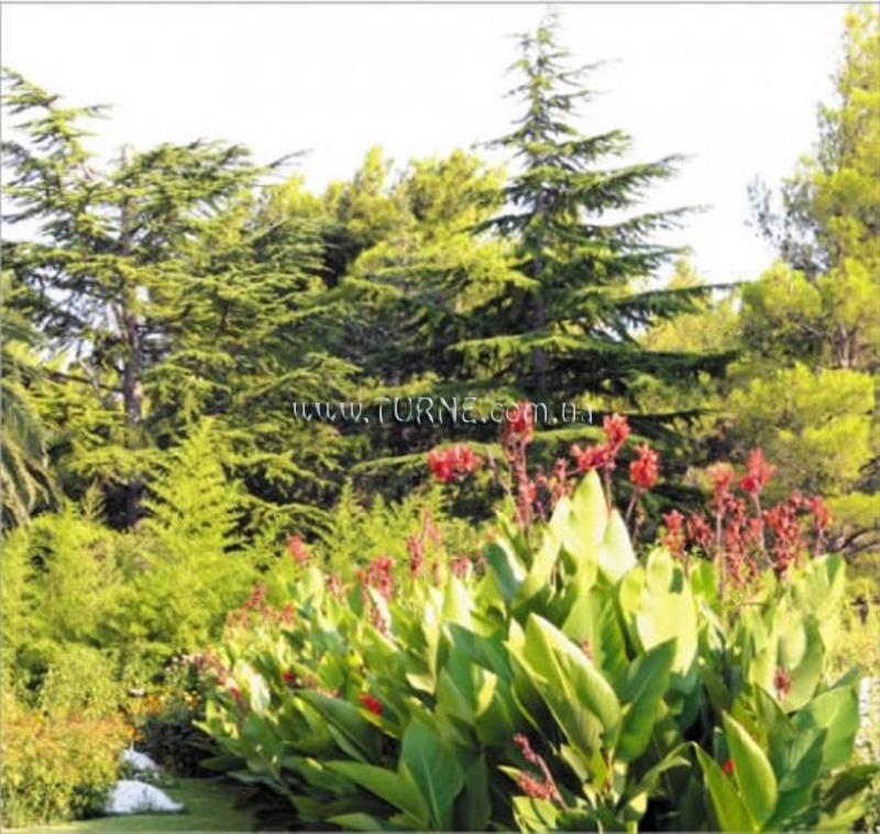 Апартаменти Alem Hotel 2*