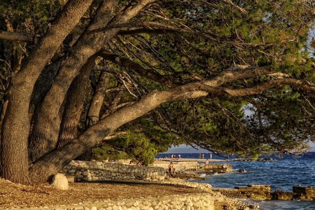 Вид Campsite Basko Polje 3*