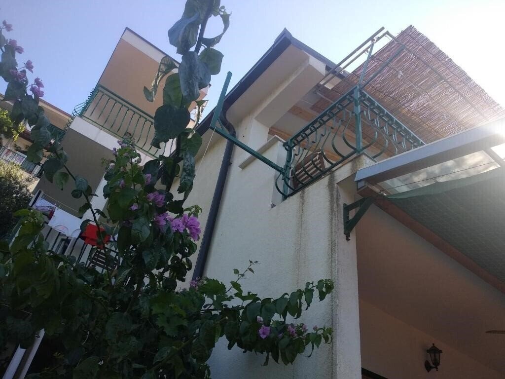 Фотография App Mira 3*