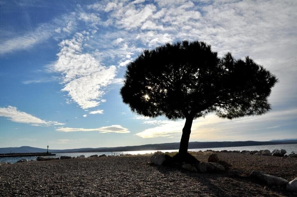 Апартаменти Zagreb Crikvenica 2*