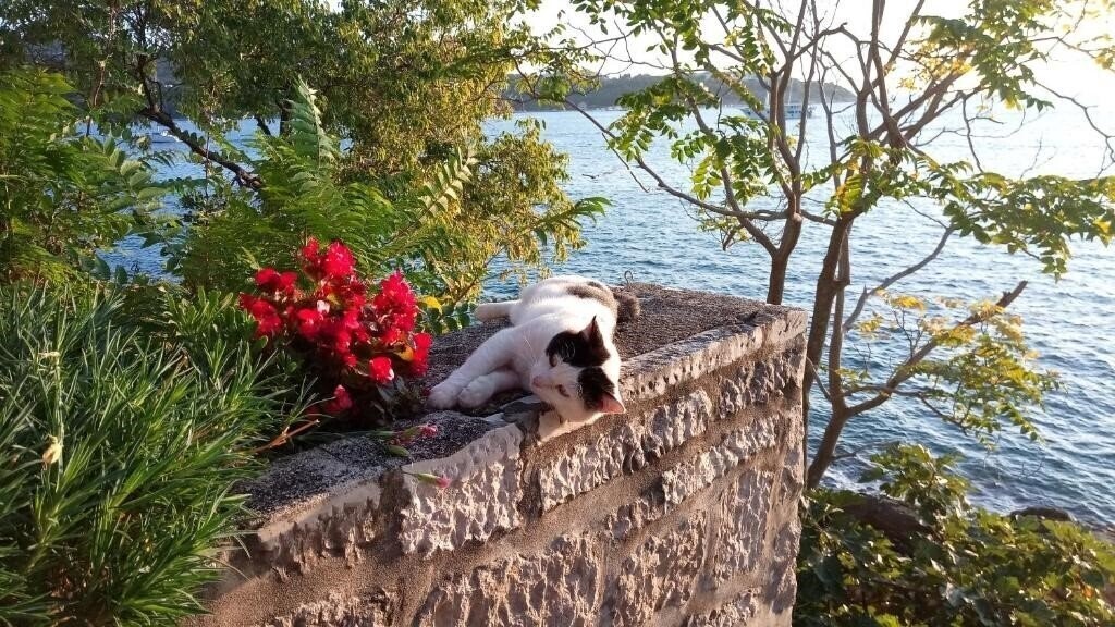 Вид Sea Of Eden 3*