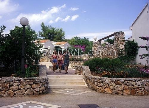 Изображение Trim 3*