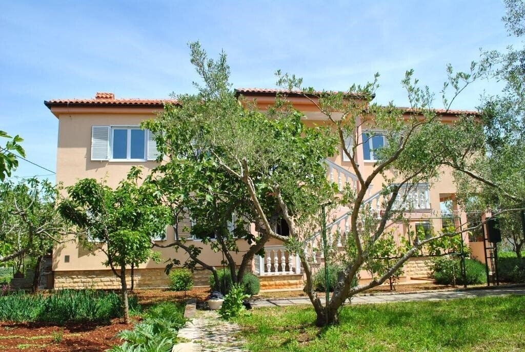 Вид Villa Dragica App 3*