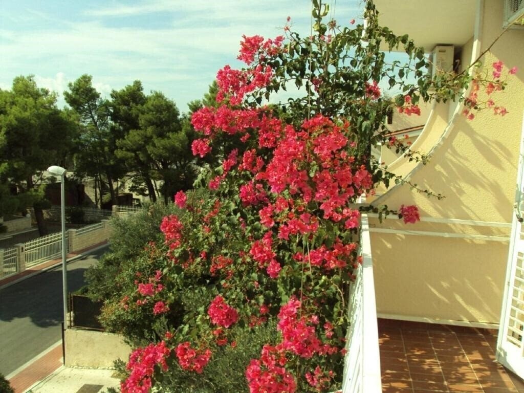 Панорама Miranda Apartment 3*