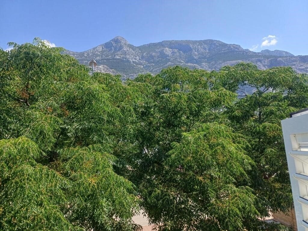 Територія App Kline 3*