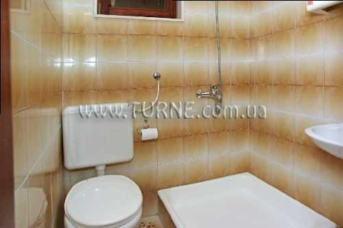 Вид Bezmalinovic 2*