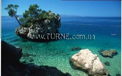 Фотография Ivic 2*