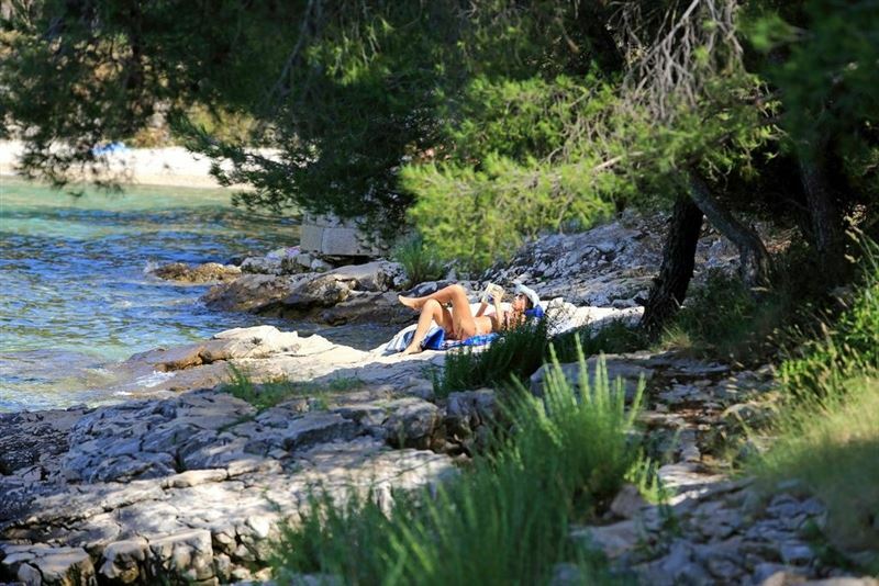 Панорама Bluesun Resort Velaris 4*