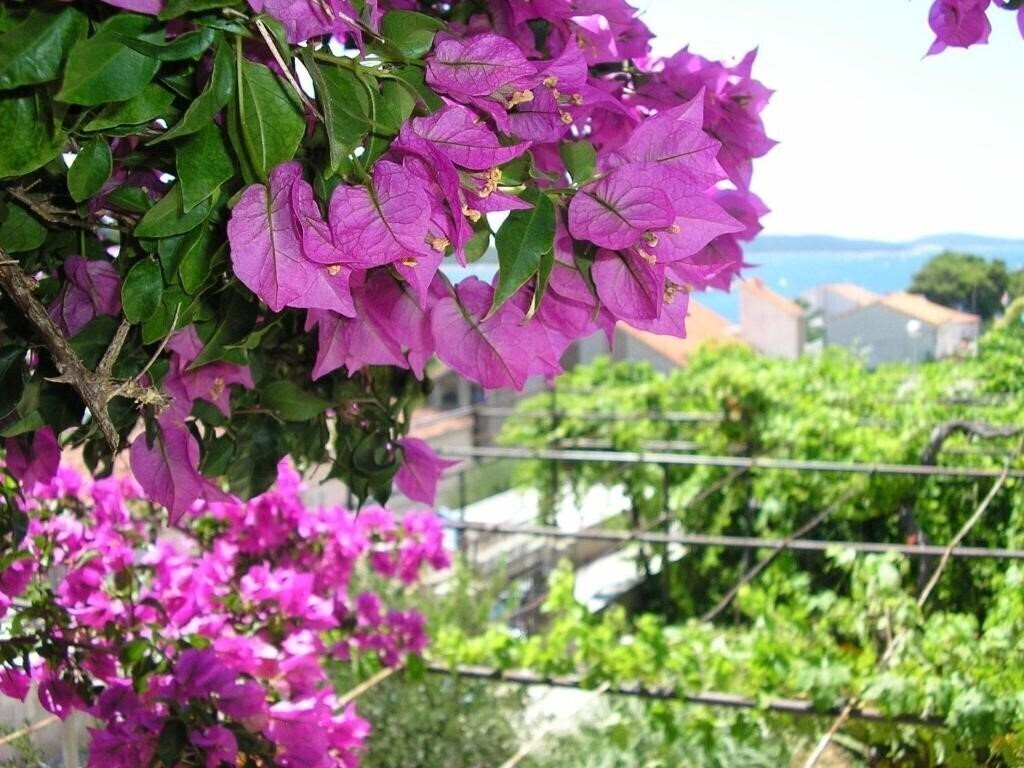 Апартаменти Villa Jadranka 3*