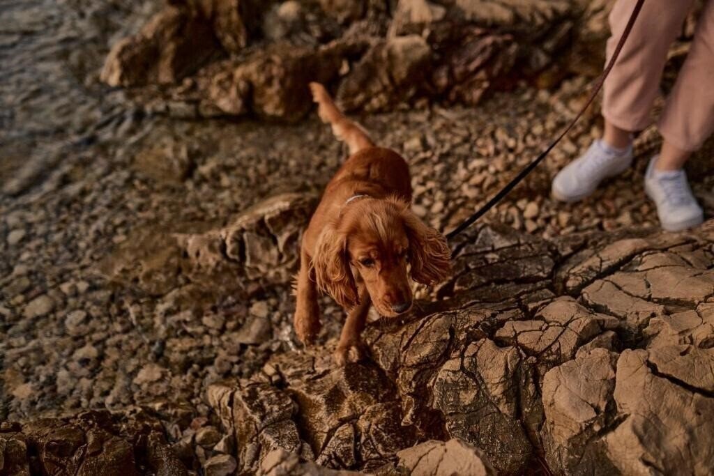 Вид Malinska Green Apartments апартаменты