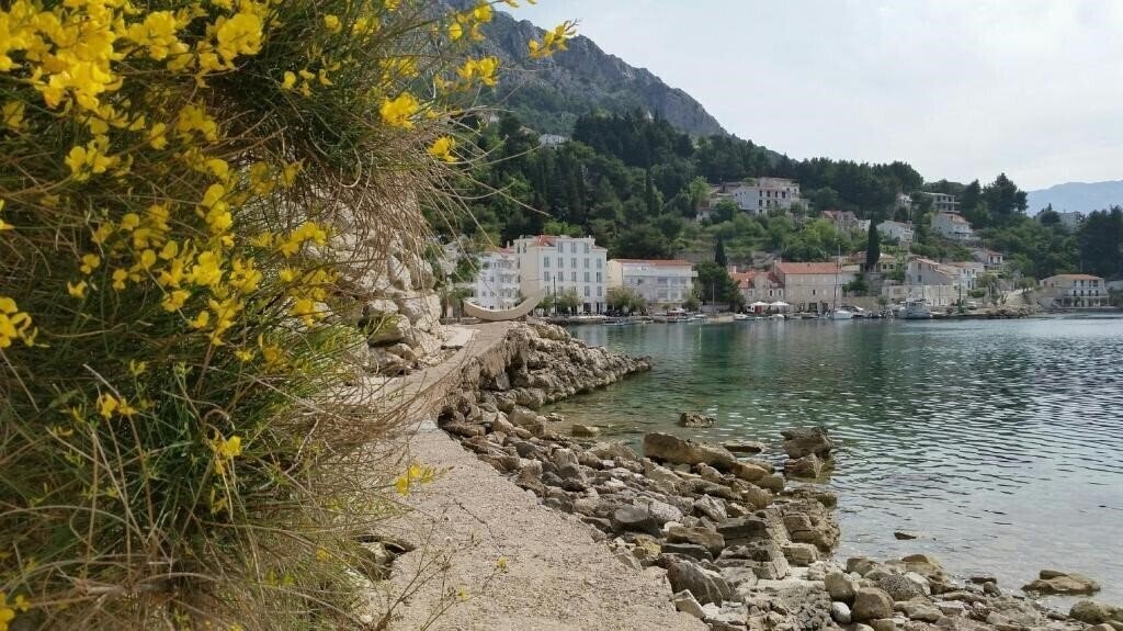 Панорама Pleter Hotel 4*