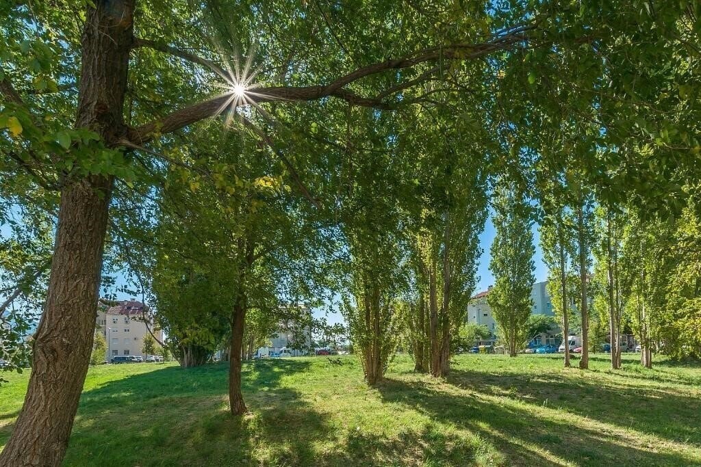 Территория App Ivana 3*