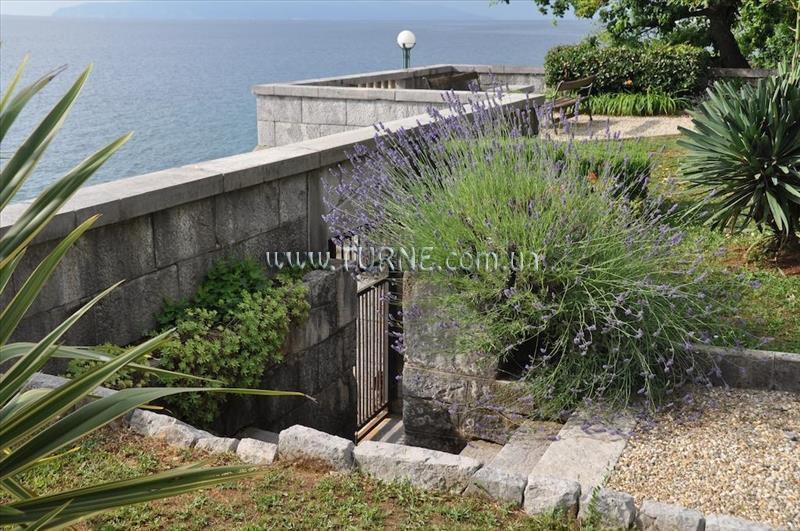 Апартаменти Villa Wisteria вилла