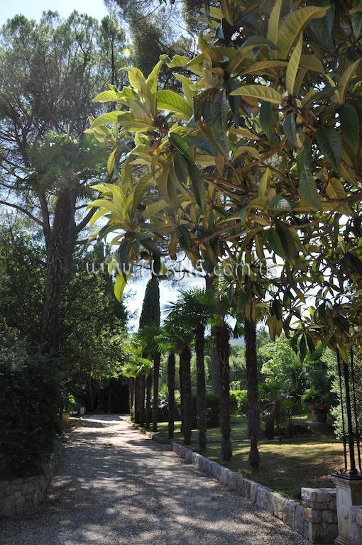 Територія Villa Wisteria вилла