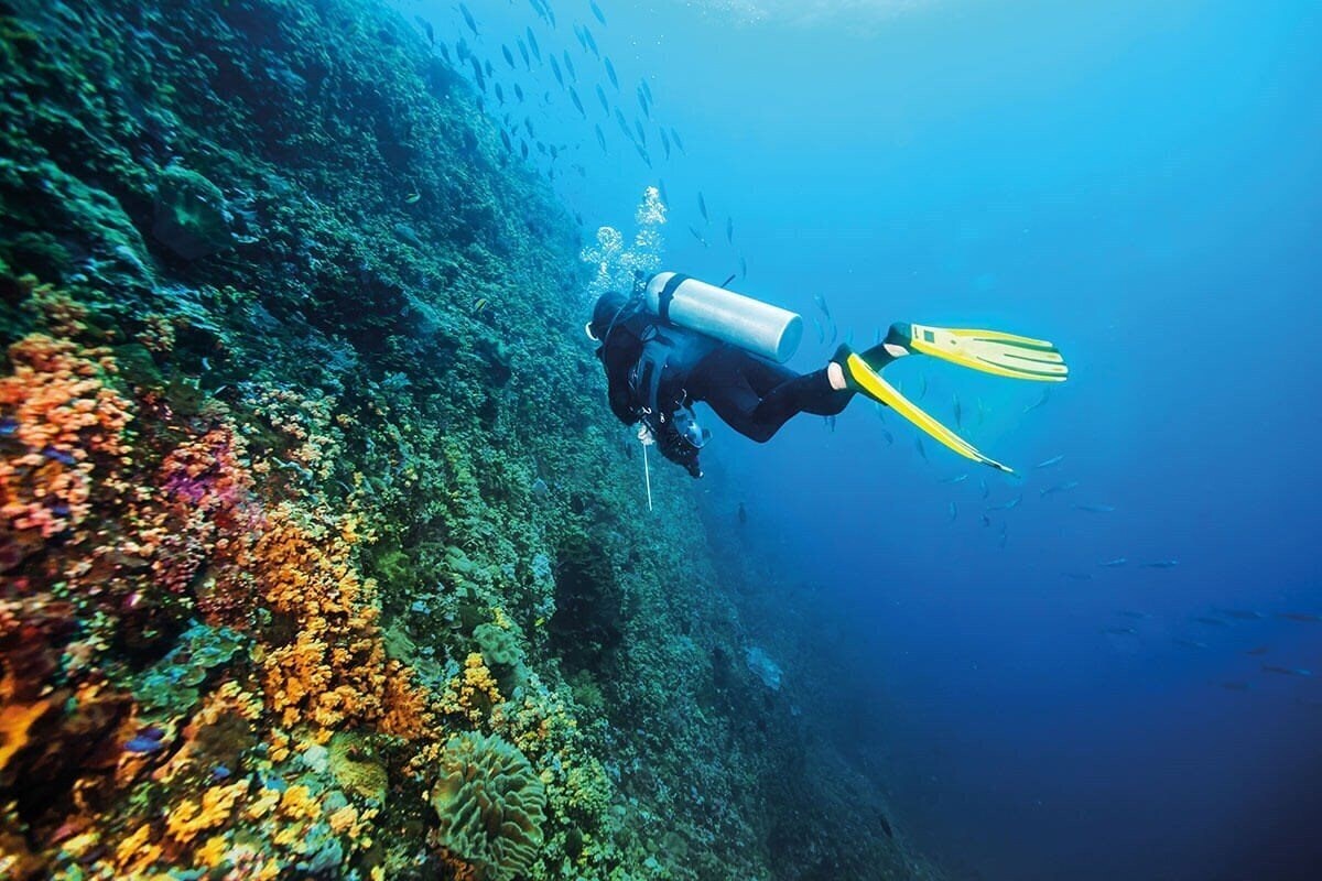 Фото Valamar Collection Girandella V Level Villas 5*