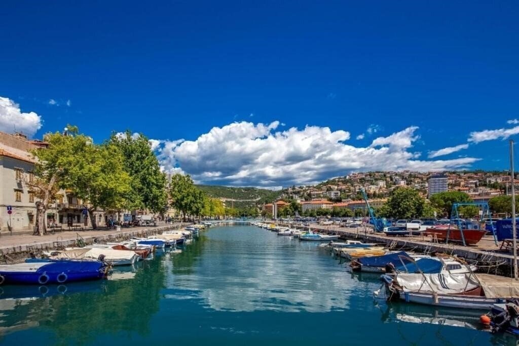 Картинка App Greis 2*