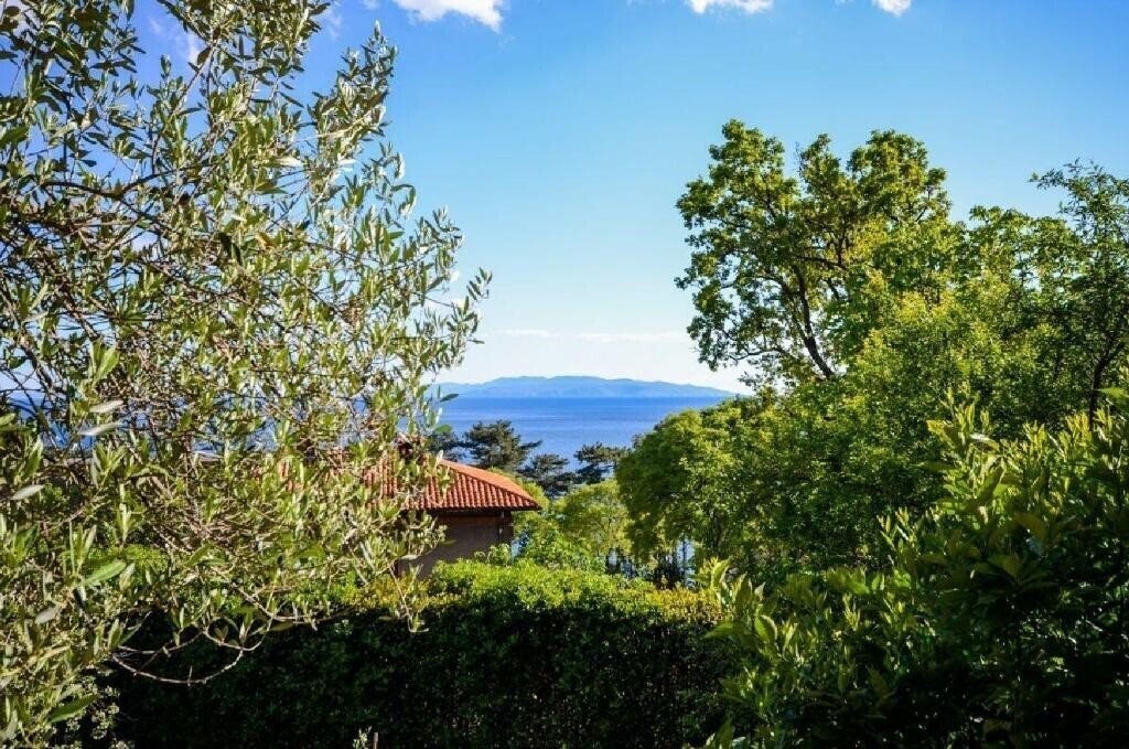 Панорама App Visnja 3*