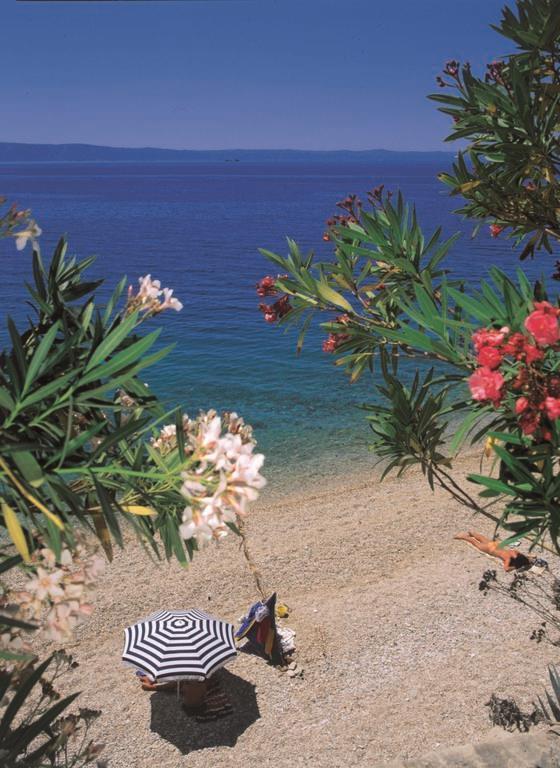 Картинка Villa Marija 4*