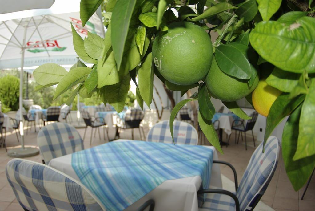 Вид Villa Marija 4*