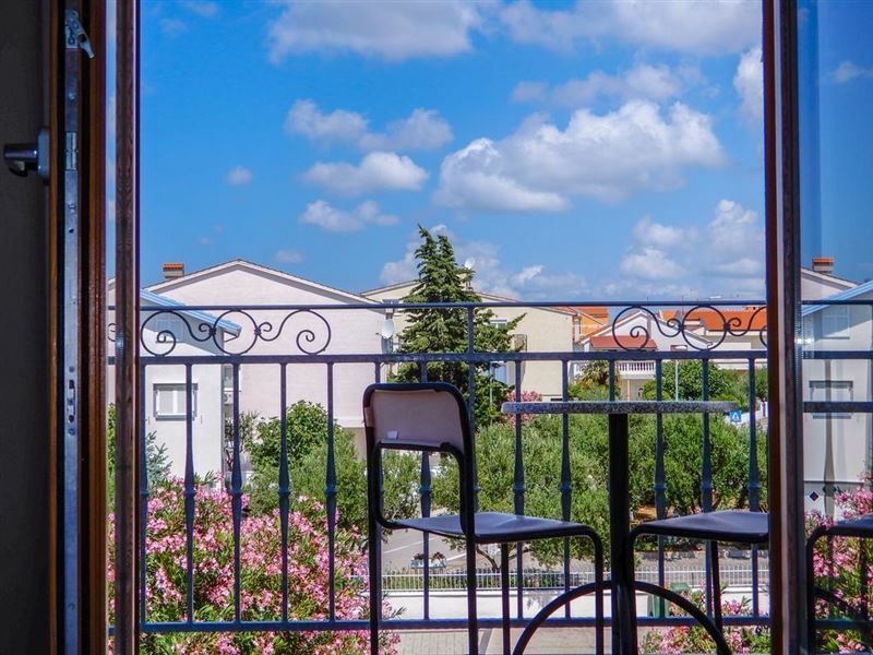 Картинка Nikola 3*