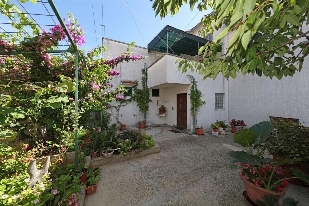 Вид App Anita Summer 3*