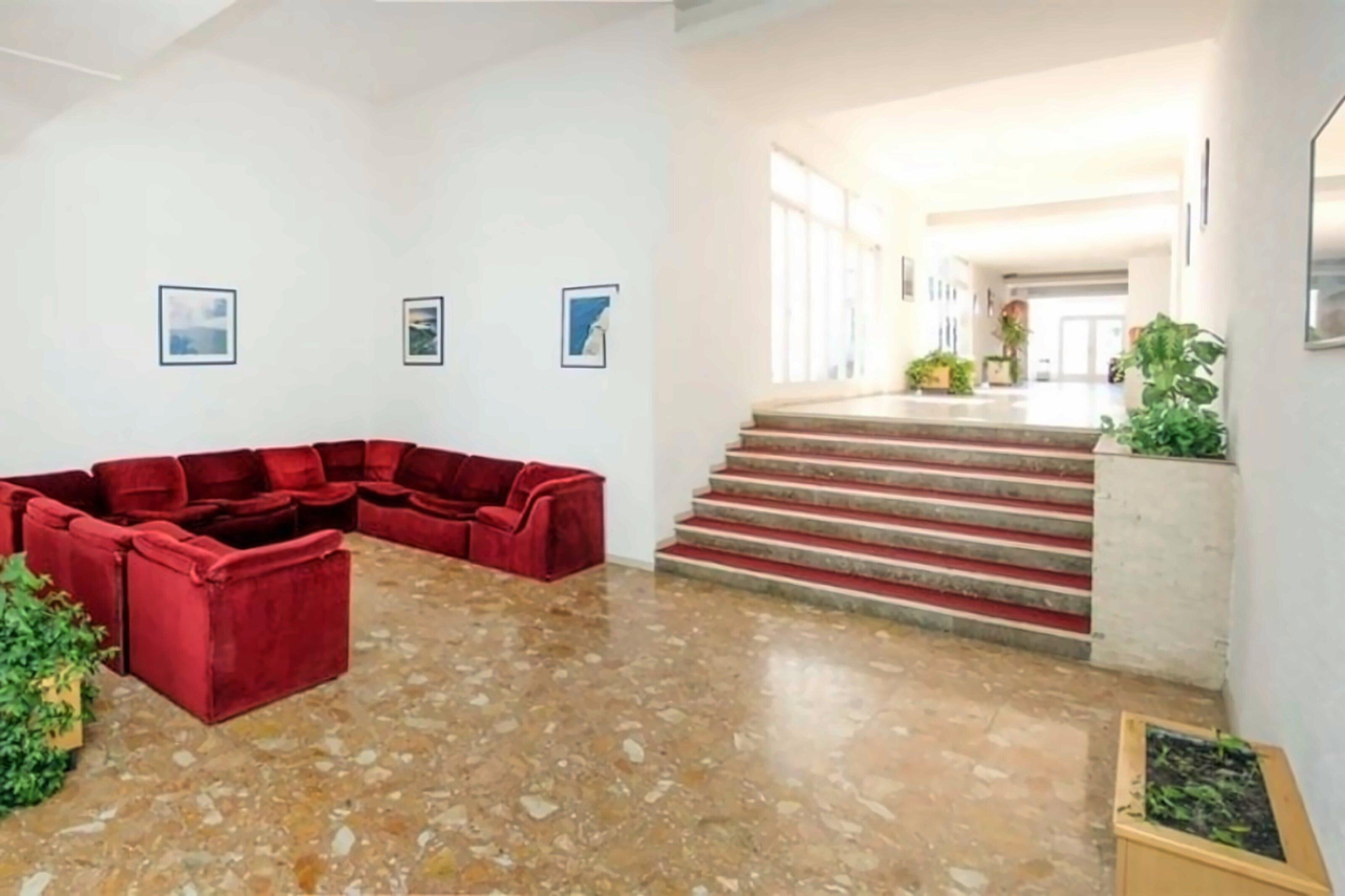 Изображение Hotel Flora Madera 3*