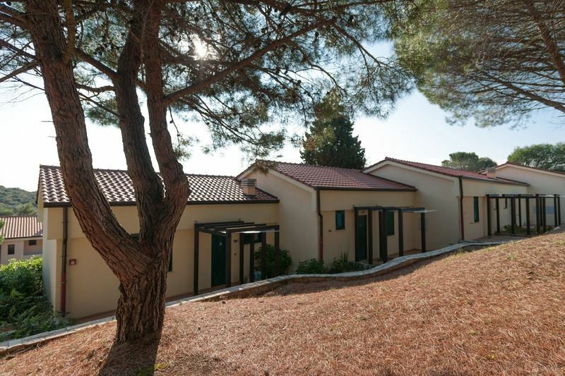 Территория Petalon 4*