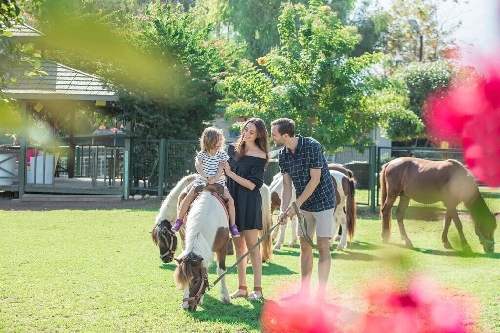 Панорама Merit Crystal Cove Hotel & Casino 4*