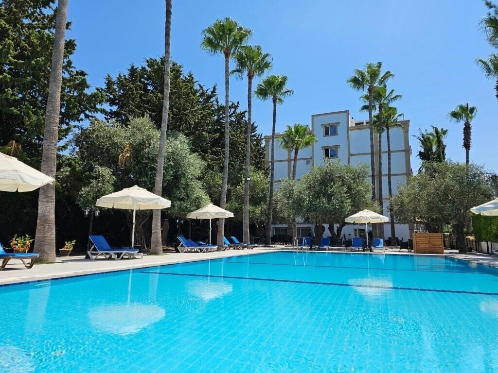 Отель Park Palace Hotel 3*