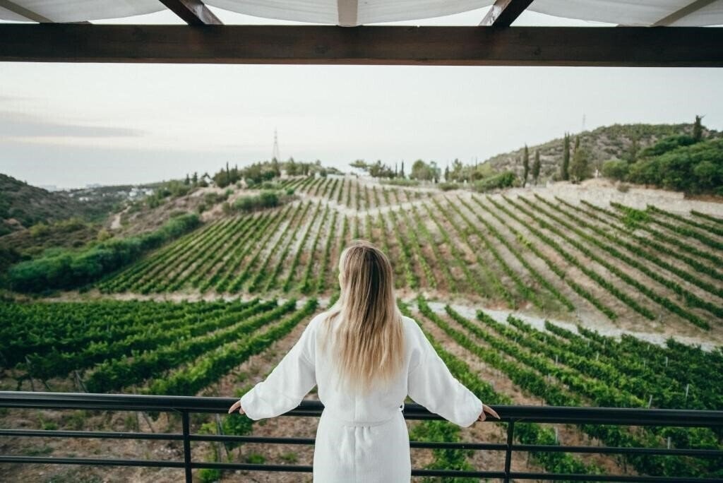 Вид Gillham Vineyard отель без категории