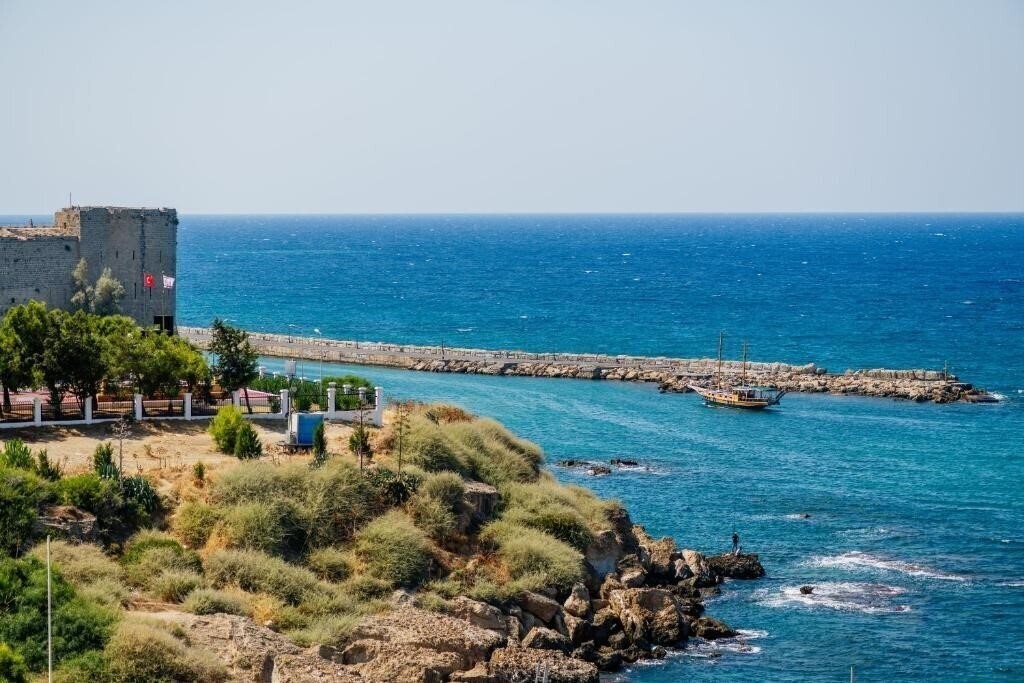 Територія Olivia Palm Hotel 3*