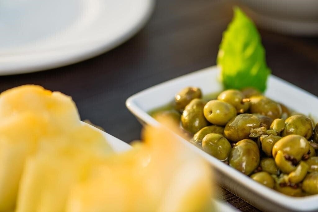 Панорама Olivia Palm Hotel 3*