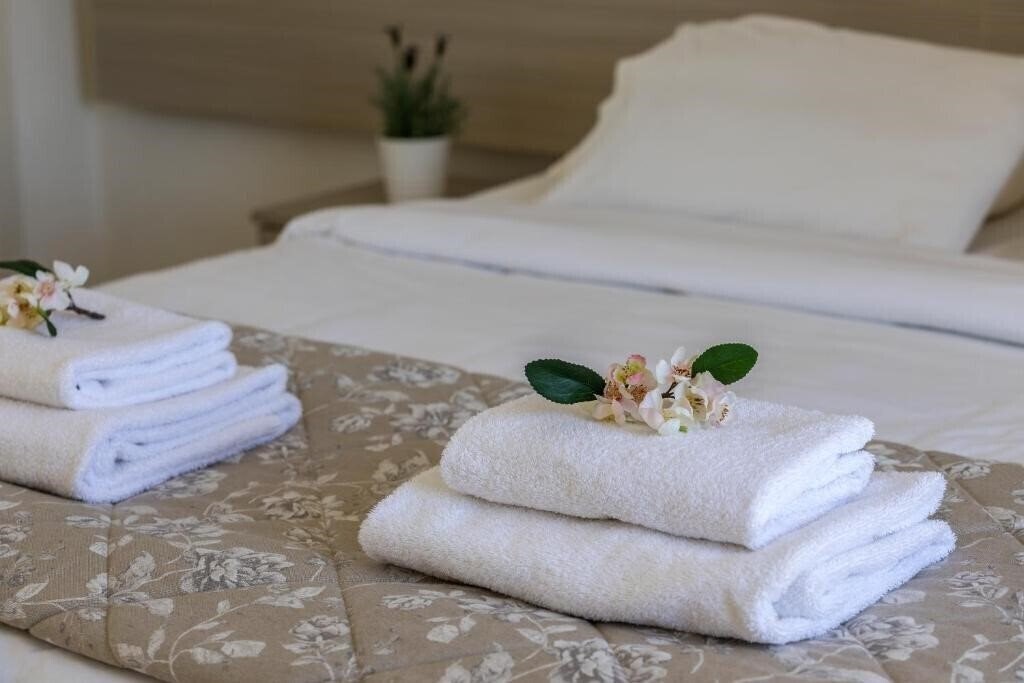 Изображение Cactus Hotel 2*