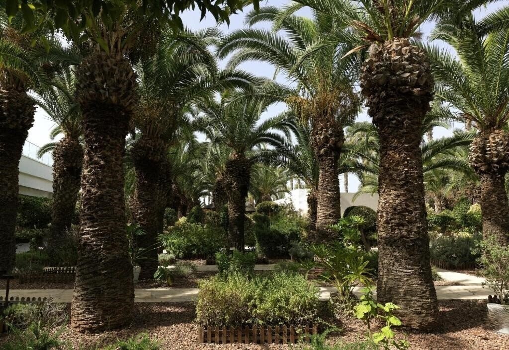 Територія Grandresort (ex. Hawaii Grand) 5*