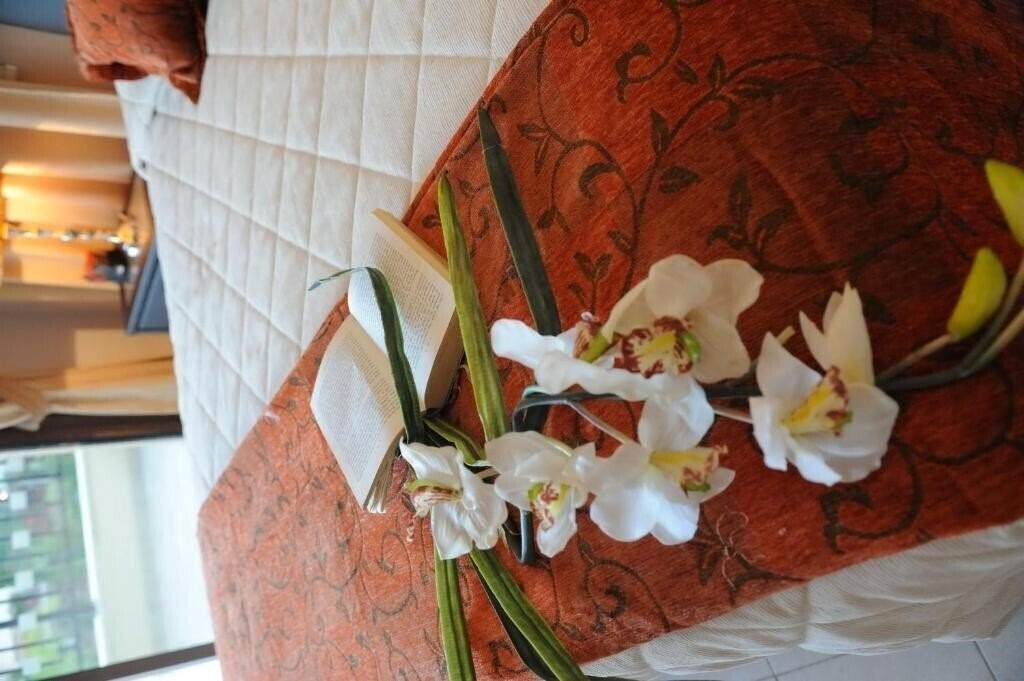 Территория Vineland Holiday Villas 4*