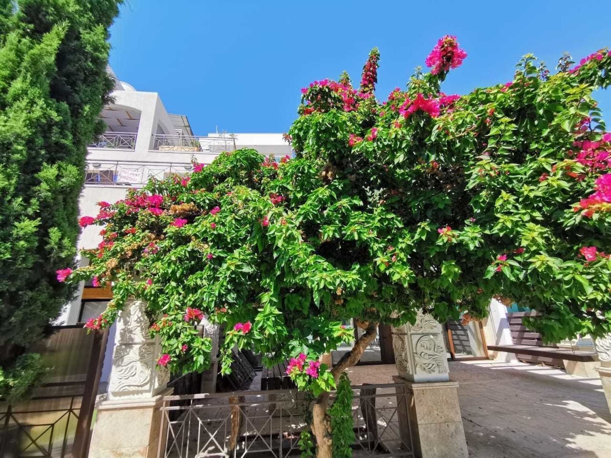 Зображення V.I.P. Galatex 3*