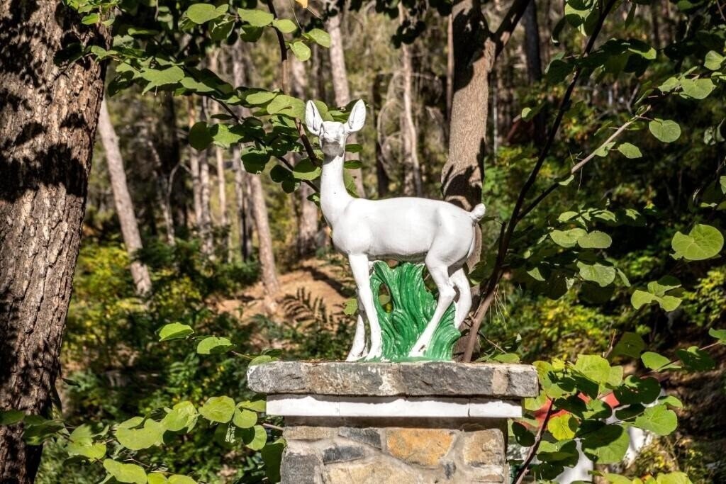 Панорама Forest Park 4*