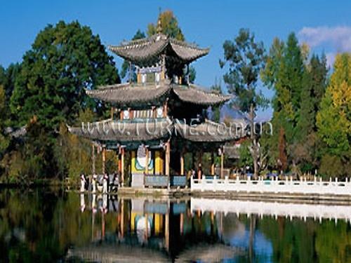 Изображение Royal Plaza 4*