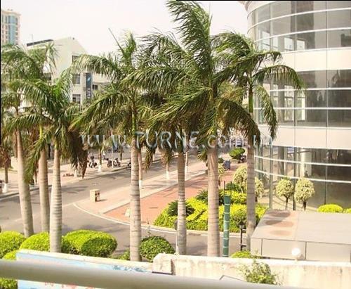 Фотографія Sanya Romantic Sea View 4*